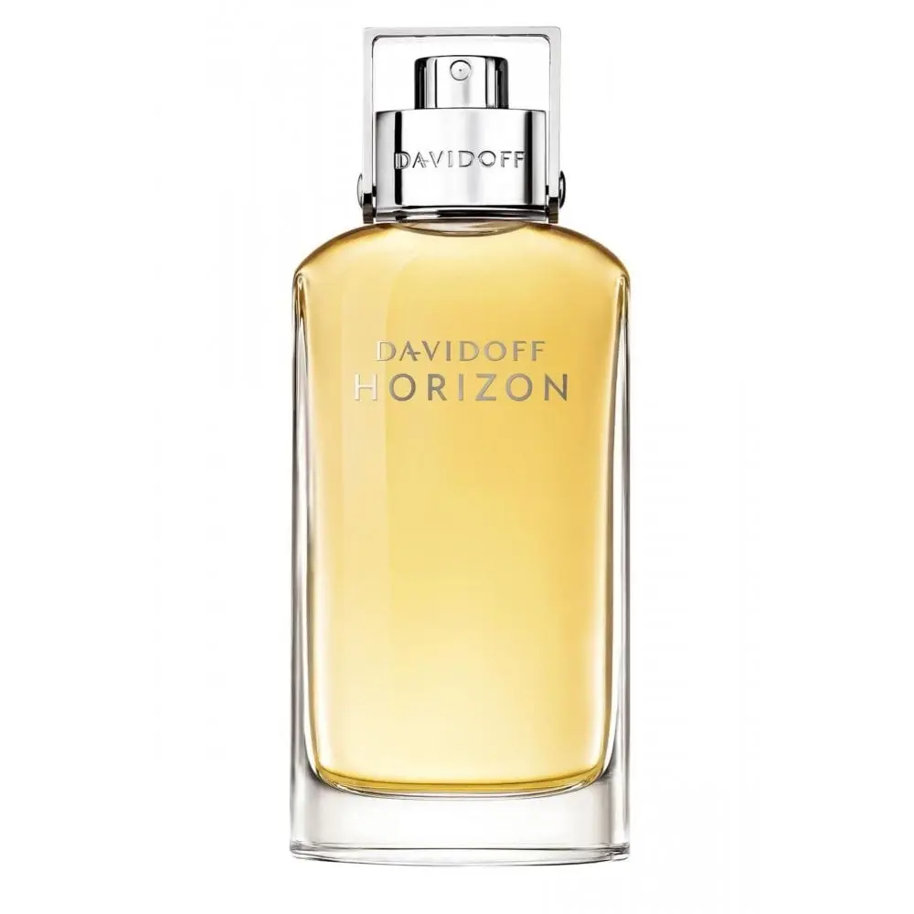 Davidoff Horizon for Men Eau de Toilette Spray 125ml
